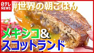 #08 スコットランド “名物サンド”＆メキシコ “定番トルティーヤ定食”『世界の朝ごはん』(2021年7月23日放送「Oha!4 NEWS LIVE」より)