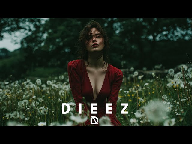 JAY SEAN - RIDE IT (DIEEZ REMIX 2025)