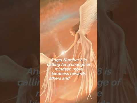 Meaning of Number