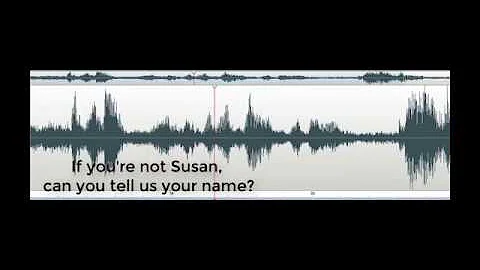 If you're not Susan CannonballHouse Morgan 2017
