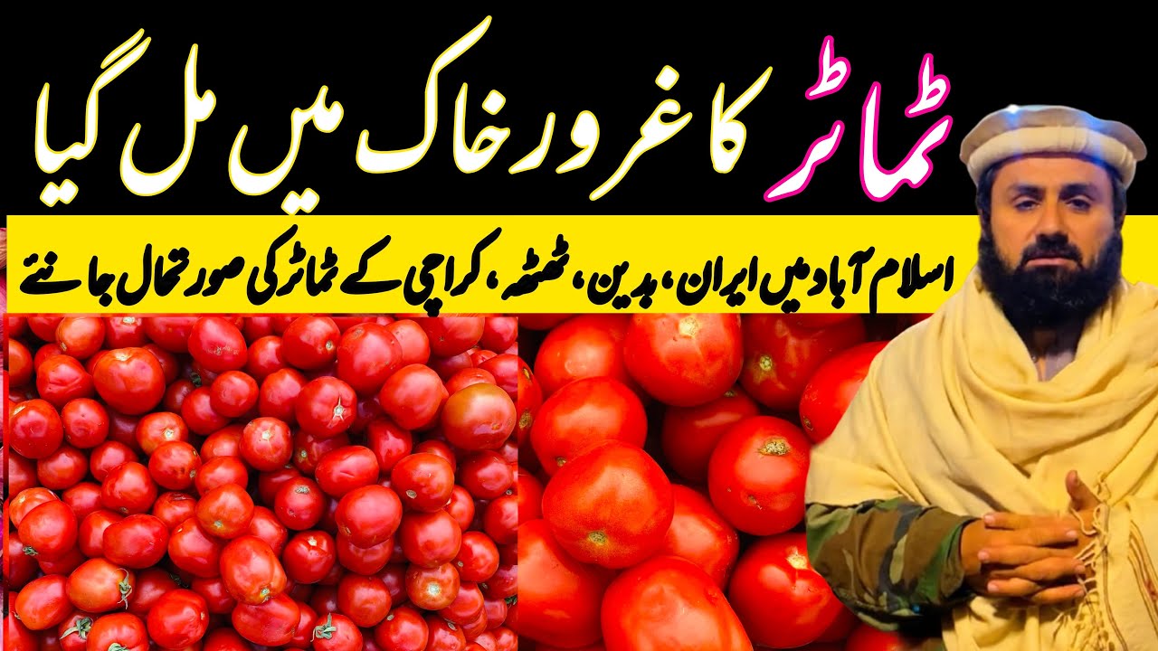 Tomato Cheap All over in Pakistan 27 January 2024 Karachi