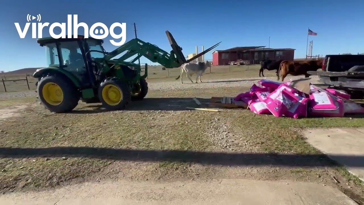 Pallet: 1, Tractor: 0 || ViralHog