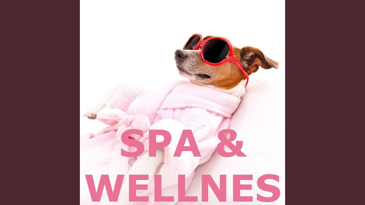 Why (feat. Jaco Curacao) (Spa Wellness Edit)