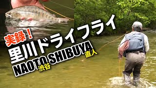 ★「情熱大陸」出演のフライフィッシャー・渋谷直人さん／地元秋田の実釣ドキュメント！「実録 里川ドライフライ」を公開！