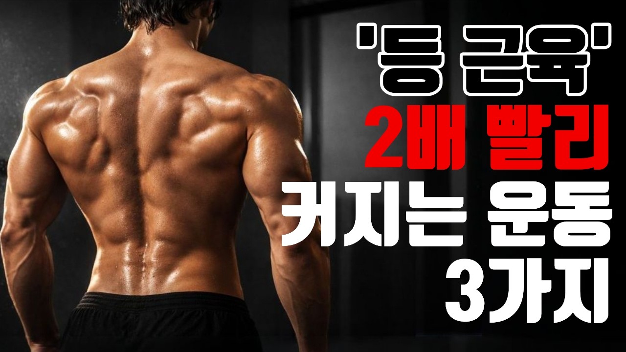 2 죽어라 등운동 해도 등이 커지지 않았던 이유와 해결방법 3가지