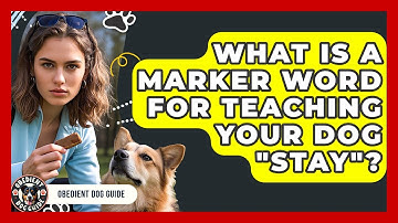 What Is A Marker Word For Teaching Your Dog "Stay"? - Obedient Dog Guide