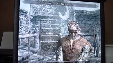 Skyrim Playthrough Part 1 - DRAGON ATTACK!!!!