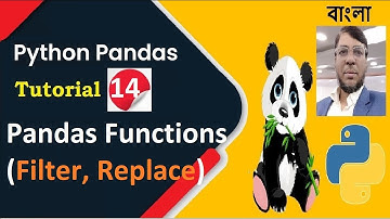 Python Pandas Tutorial 14: Pandas Functions (Filter, Replace) | Bangla | Aksadur Rahman