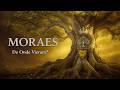 Você é Moraes? A Origem Nobre do Seu Sobrenome