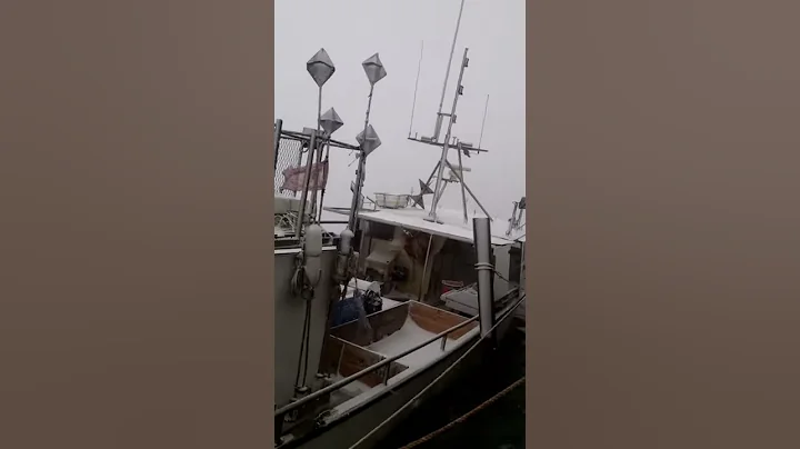 Feels like we are in the ocean