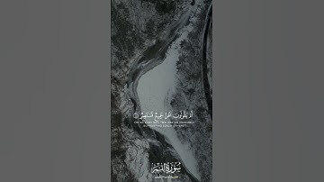 احمد النفيس سورة القمر #explore #اكسبلور #قرآن