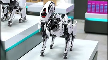 Smart Living with Alexa: Unveiling the Vector Robot by Anki - A Home Robot Hangs Out & Helps Out!