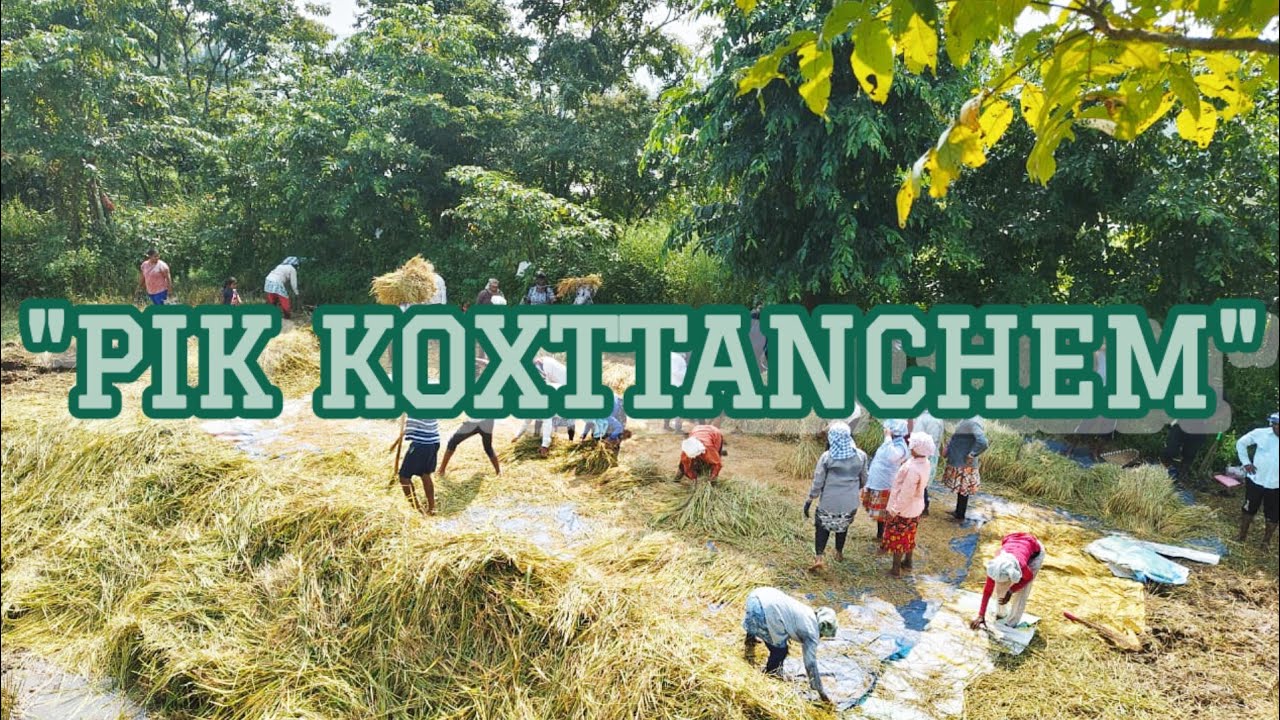 "PIK KOXTTANCHEM" | HARVEST 2025 | 14 October 2025