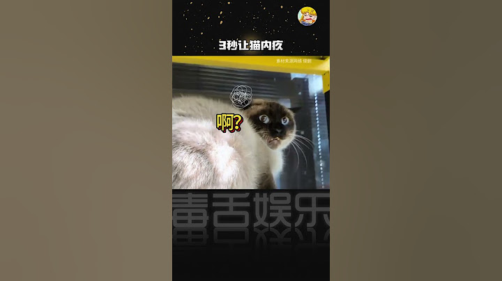 猫：我真该死啊#猫咪 #谁说猫猫没有表情的#shorts