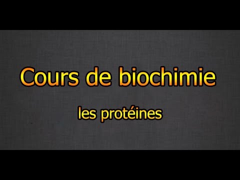 Vídeo: Les proteïnes de transport són específiques?