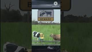 Thiệt Hả Bà Thơ