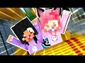 Rollercoaster Baby Hunt | Hide and Seek Minecraft