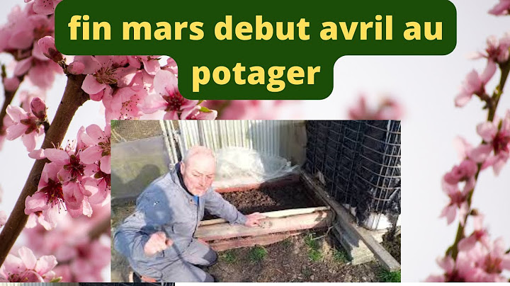 les semis et plantations a faire fin mars début avril ?