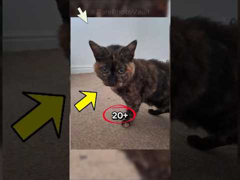 تبدو هذه الصور النادرة مختلفة تمام ا من زاوية أخرى