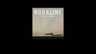 【和訳】Kodaline - Vultures