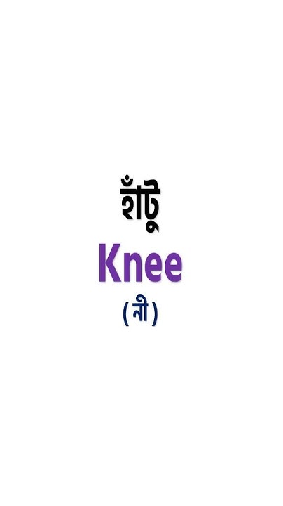 basic-word-meaning-bangla-to-english-shorts-english-youtube