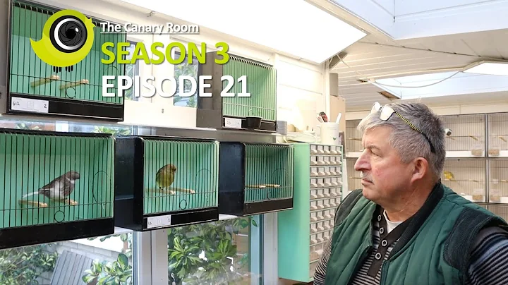 The Canary Room - Season 3 Episode 21 - A visit to...