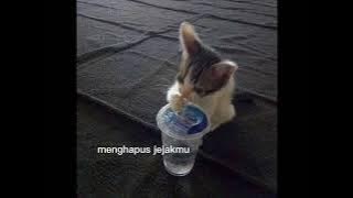 peterpan - menghapus jejakmu sped up