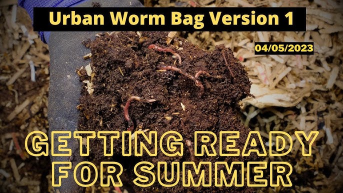 Urban Worm Bag V2 with ENCs - MASSIVE FEEDING 03/20/2023 