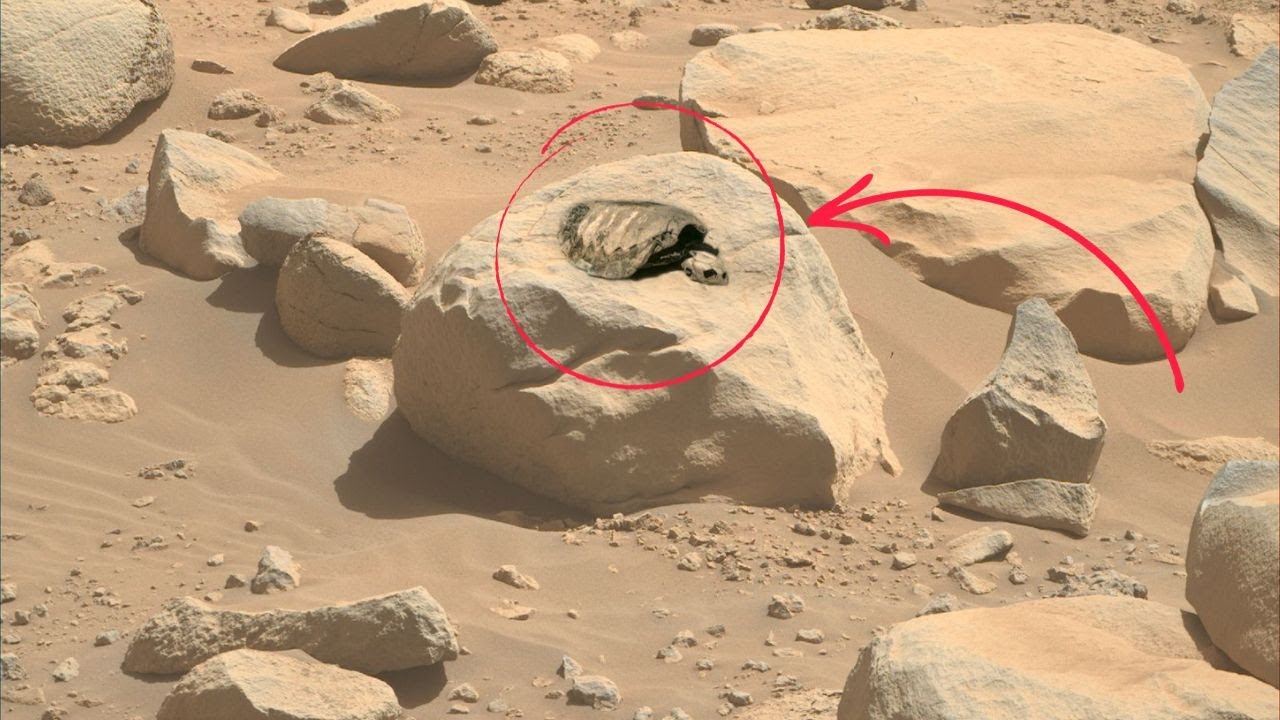 Mars Perseverance Rover Capture a Turtle skeleton above a chamber on ...