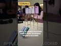 Apple's Monopoly: Are They Stealing Your Money? | DigiMoTech