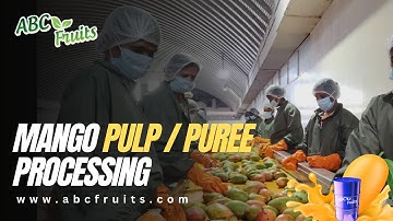 Totapuri Mango Puree & Concentrate Processing Plant | ABC Fruits - India |