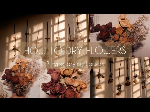 DIY | how to dry flowers | 3 method | cara mengeringkan bunga🥀