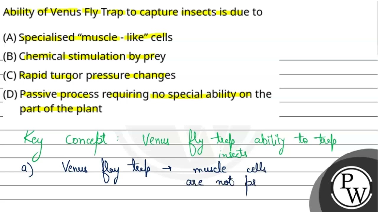 Ability of Venus Fly Trap to capture insects is due to....