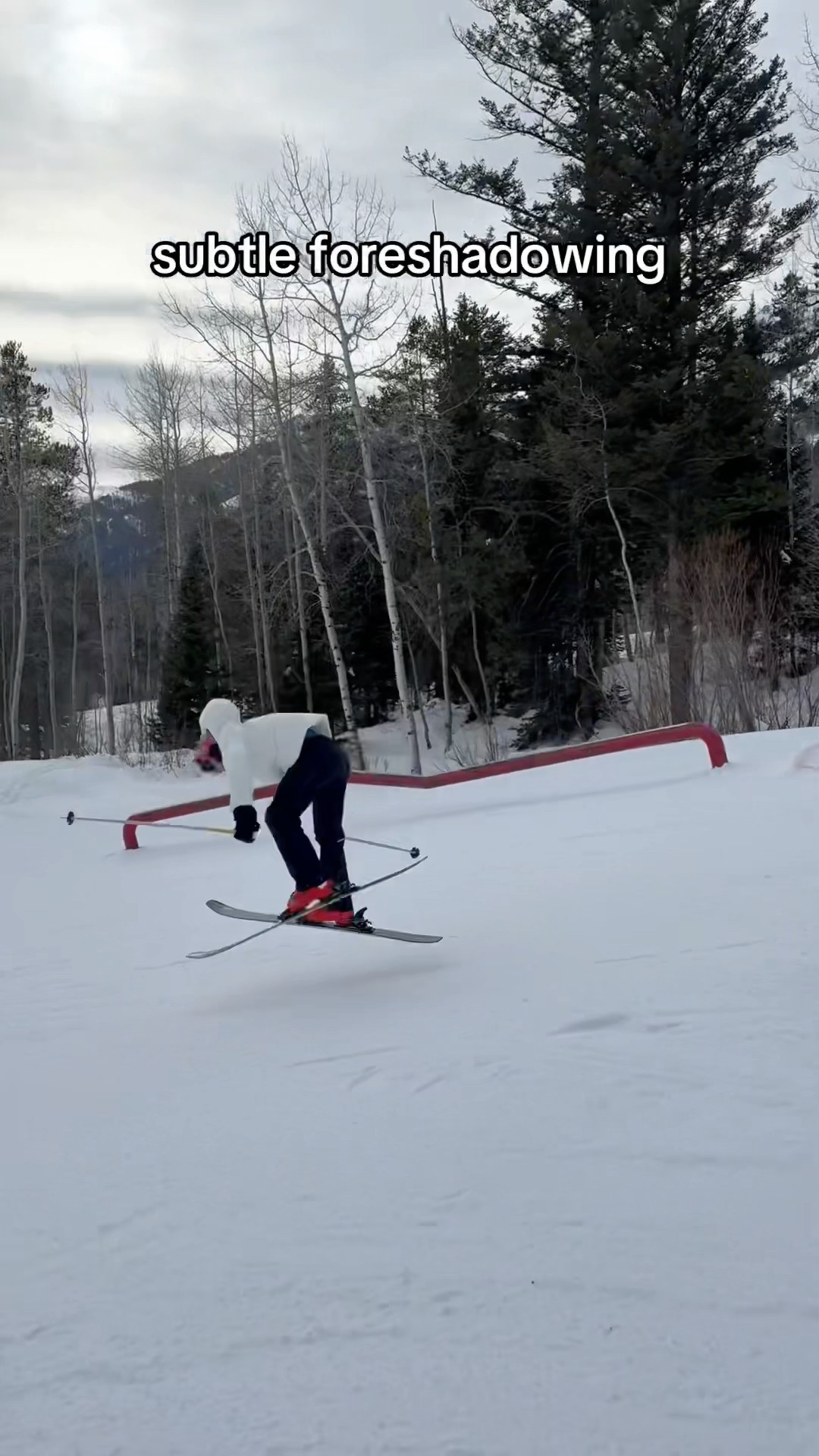 adding “pro skier” to my resume ⛷️? #sheadurazzo #fail #skitrip #subtleforeshadowing