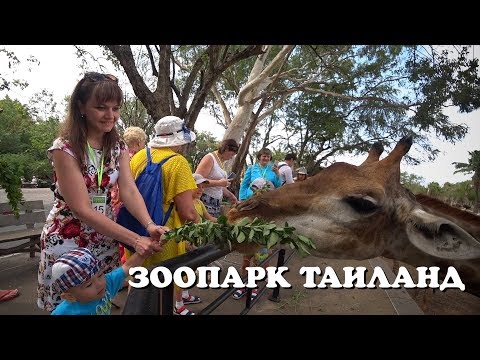 Зоопарк Кхао Кхео в Паттайе — лучший в Таиланде