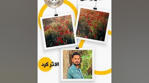 سورة يس -  القارئ حسين محمد الركابي  - الاثر كرد