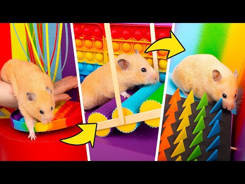 Video: Cara Membuat Area Bermain Tikus Pet