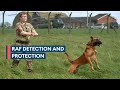 The RAF Police&#39;s &#39;force multiplier&#39; dogs protecting Quick Reaction Alert Typhoons