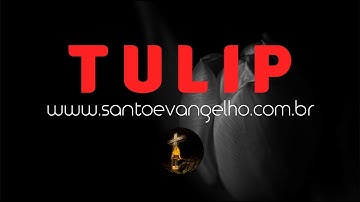 TULIP  ― UNCONDITIONAL ELECTION
