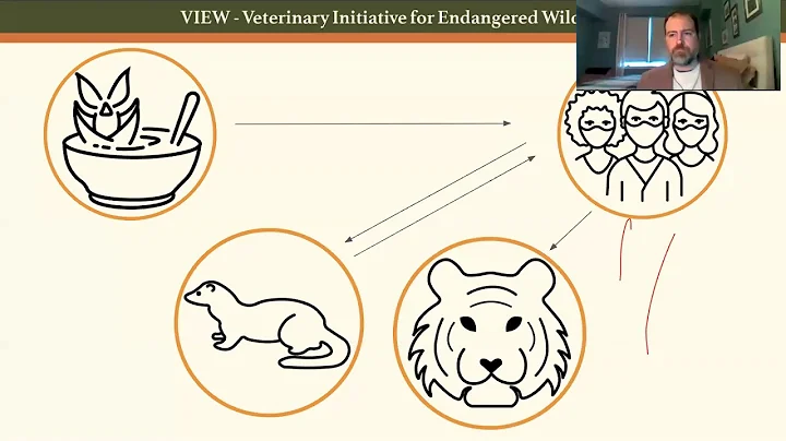 Veterinary Initiative for Endangered Wildlife Dece...