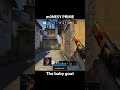 m0NESY's BEST HIGHLIGHT