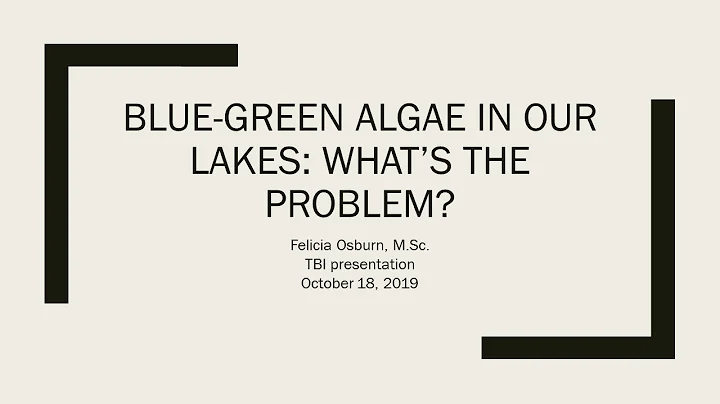 TBI Blue Green Algae In Our Lakes   Felicia Osburn...