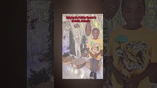 We Are Celebrating Our First Holiday Season In Medellin, Colombia