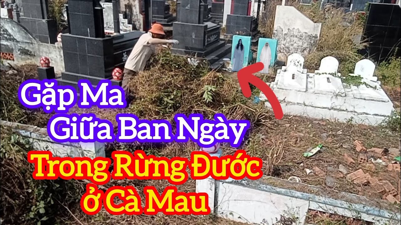Ly Kỳ CÂU CHUYỆN GẶP MA GIỮA BAN NGÀY TRONG RỪNG ĐƯỚC Ở CÀ MAU - chuyện Tâm Linh 