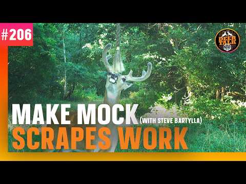 #206: MAKE MOCK SCRAPES WORK with Steve Bartylla | Deer Talk Now Podcast