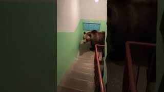 Причина не идти на работу #влог #юмор #shorts #jokes