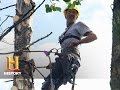 David Zitterkopf's Logging Practices