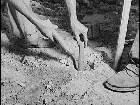 The History of Dynamite documentary - youtube