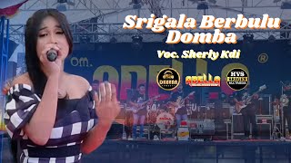 SRIGALA BERBULU DOMBA :: VOC. SHERLY KDI :: OM ADELLA LIVE WONOREJO-SRAGEN