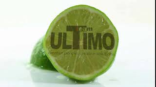 Amazing Logo Video Animation